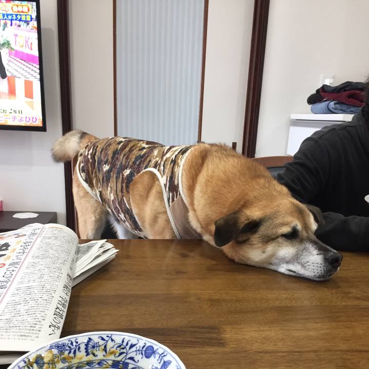 691153f6 2173 410a 96e0 b0294829d82b 1587786792450