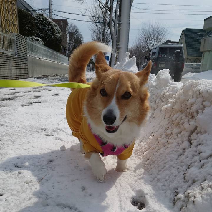 69115fa4 fd2c 446b a2a3 59cca70a02bb 1774069416354