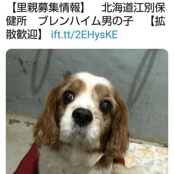 6911620d 9c2c 41f2 af61 2b866467ea6e 1576935854235