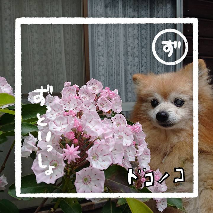 691194e3 4a91 4677 a4ee 5c210e57aec4 1685955563458