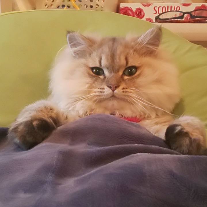 6911a1e5 2edd 49f0 a734 82255c834dd0 1572507841454