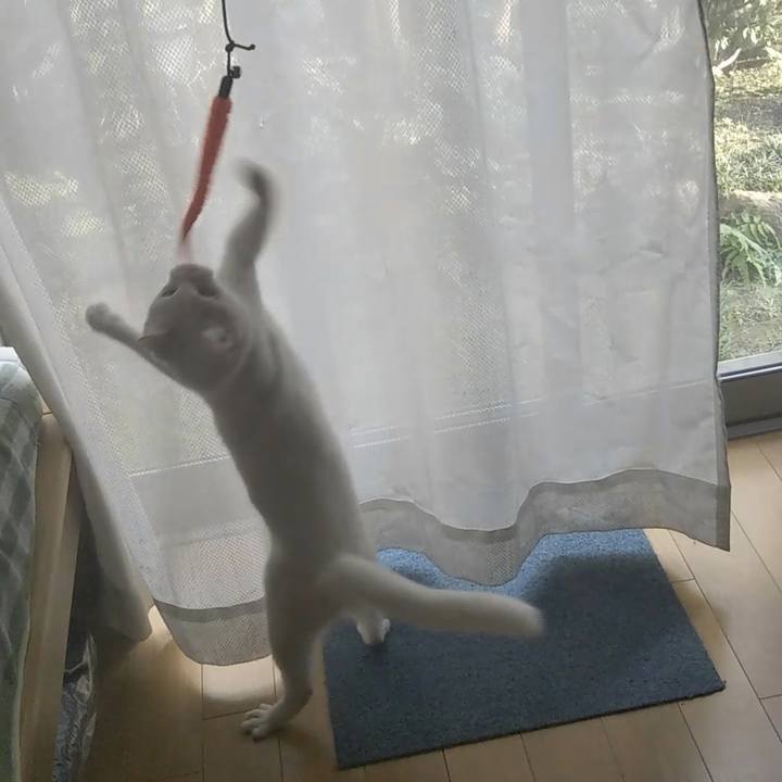 6911a8cd a9b4 4811 ad00 089e5e914221 1626387117704