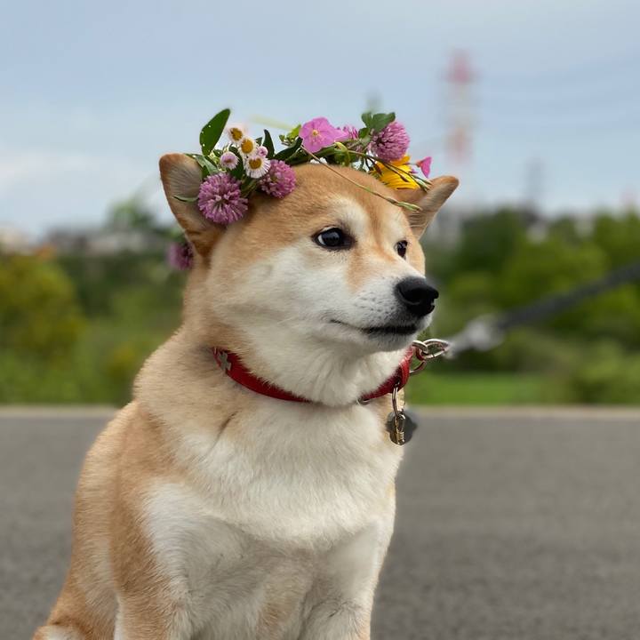 6911b919 ae2d 4983 a489 e885243c21a1 1588984393050