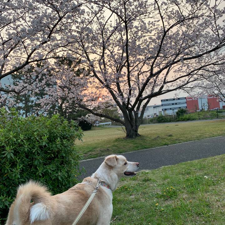 69124ac4 7b9a 436f ad01 cb115e947ce1 1554641539985