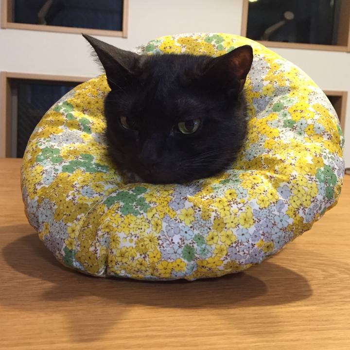 69126bf7 1cf8 493c 8446 4ddca8b9435e 1535726881494