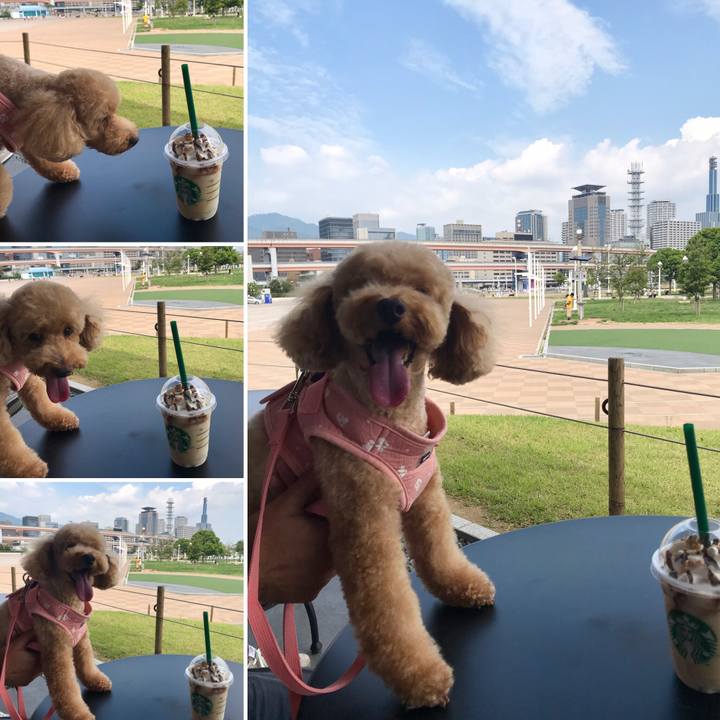 6912a8da da9d 49c6 8572 caef0c82394f 1566741997243