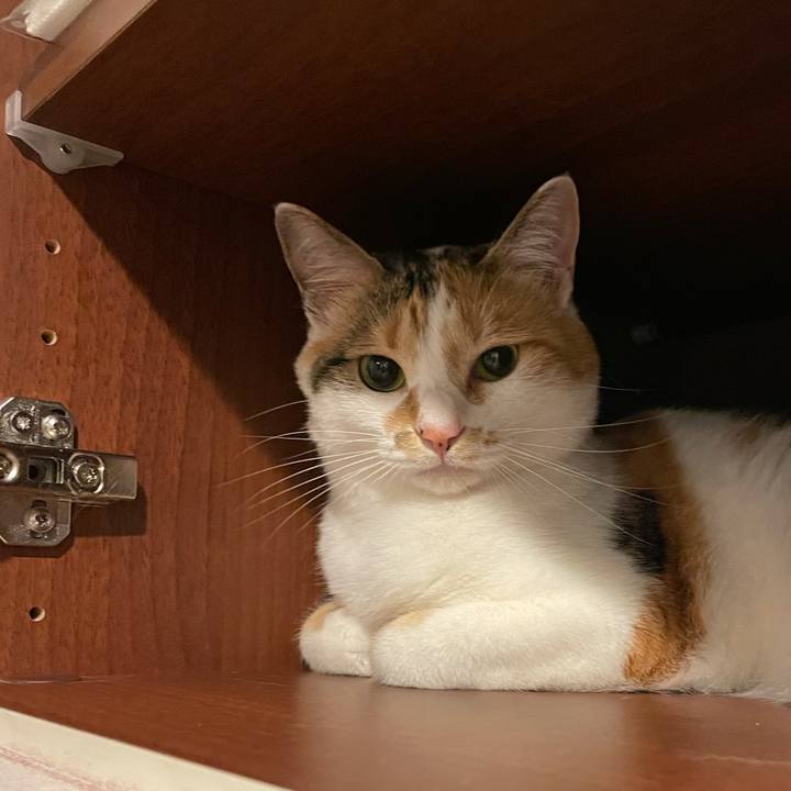 6912ad7c bff1 42bd 95da c23522db6701 1622379769448