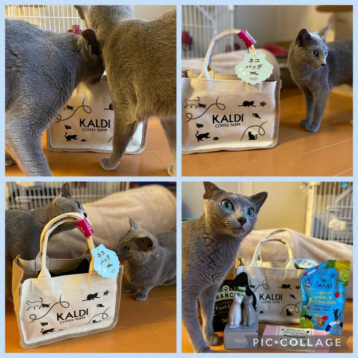 6912b822 466e 440e 8ee6 fcb2c32ca8f3 1659787163763