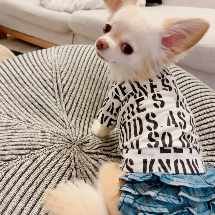 6912d40a bdfb 4a0e 8610 0cbaefa3b80b 1720619431578