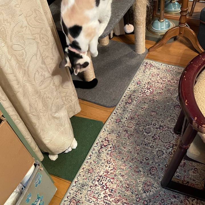 6912eac1 0b09 4e36 80df f860e8f4ed4e 1740488532604