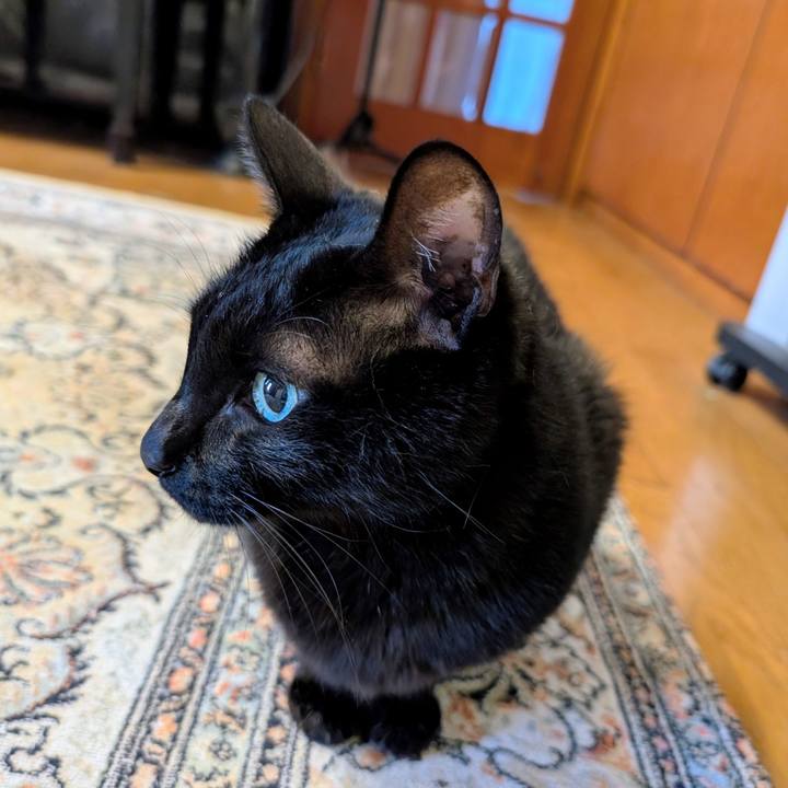 6913170a c8a4 4e81 9085 b978606707cd 1769469732014