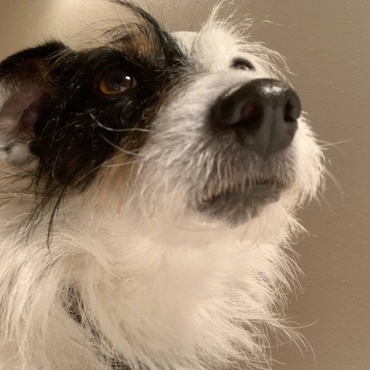 69135226 b2f9 4821 844c beb94c91a0fb 1583581910445