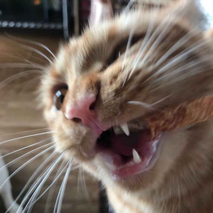 691393e6 b49e 4ed1 93a8 5c1c6353695c 1517295207020