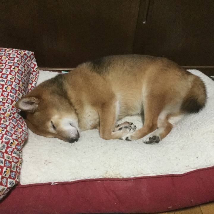 6913b181 49ae 43a4 98d0 936c193b2635 1571401235491