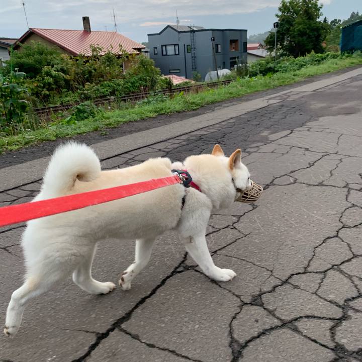 6913b661 8687 40ba be79 2e05e3ab40db 1599253094842