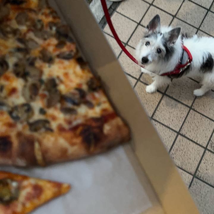 6913d1ae 1857 4540 81a2 620b231d5f2c 1658143778482