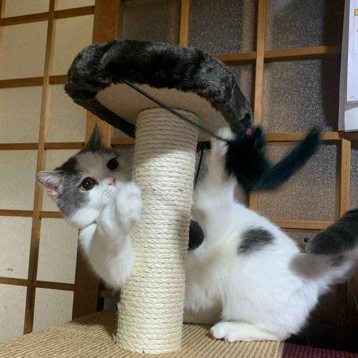 6913d9f2 89b1 4d40 9c30 300eaa49f725 1645781442871