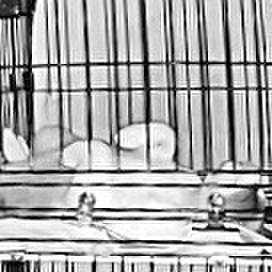 6913e0b0 8034 4b30 bd22 7accf5936af5 1756678741374