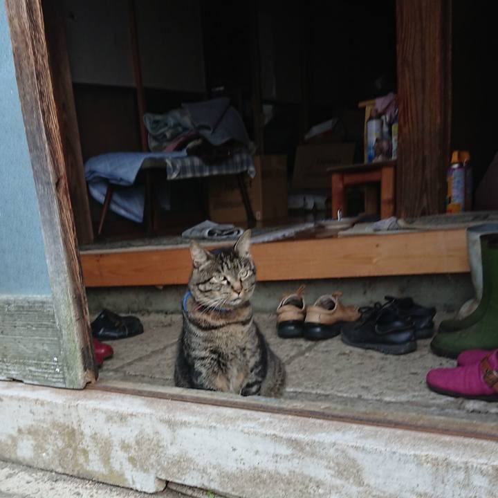 6913e5b3 f009 483b a79a aeeb481343fa 1658871742425