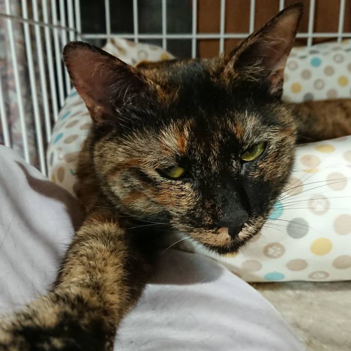 6914096c 21b0 41bf 99da b885b641409f 1528468275384