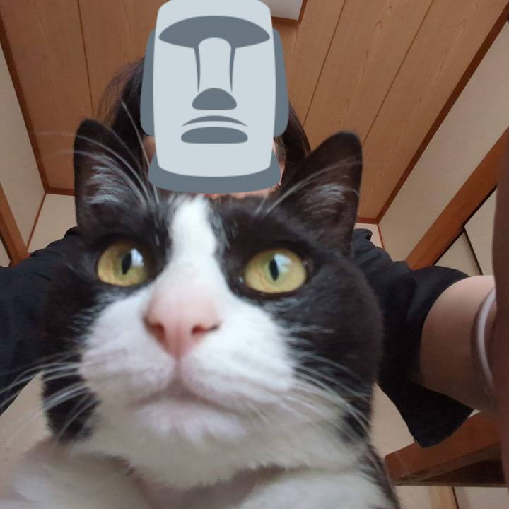 69146cdd 5fd2 44bc a545 46d1046cd0ef 1686629947379