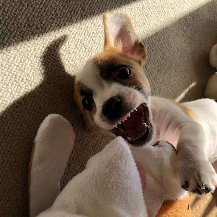 69146e1e b4f8 4c64 a1be 87c8a1b5b757 1545697622458