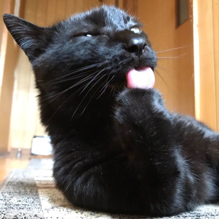 6914a385 487c 43f1 810a 6c039b6f3fca 1529113126392