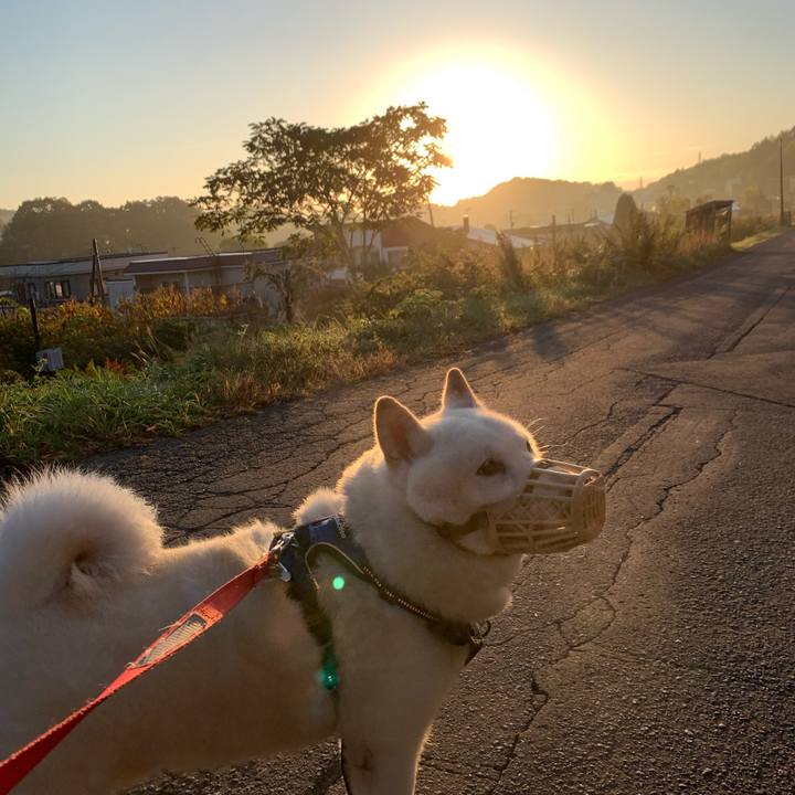 6914d0bc f250 41e2 b539 621df01814a4 1632864704717