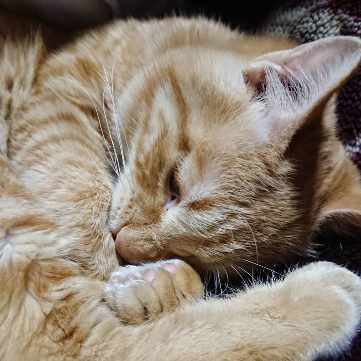 6914e7f0 6571 45e2 b6ef 523be87e648b 1638099979394