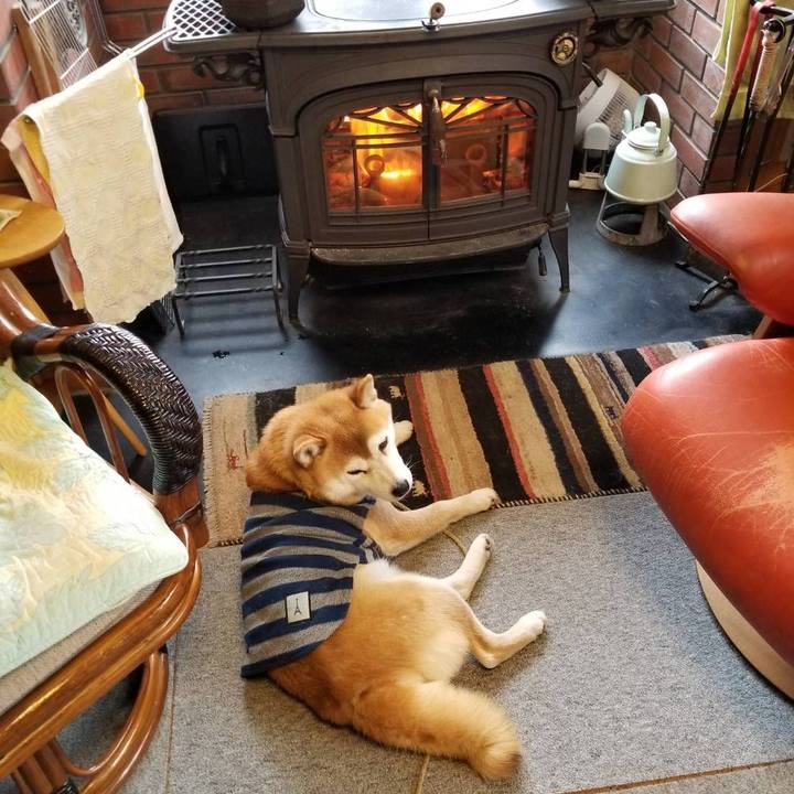 69151e35 8e32 41a6 82f6 f48ba462c70b 1580517675254