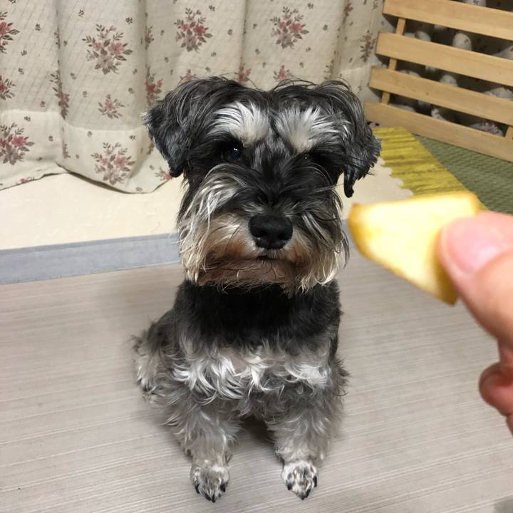 691576ec e078 4d7c a856 a81cf91a2847 1610709657541