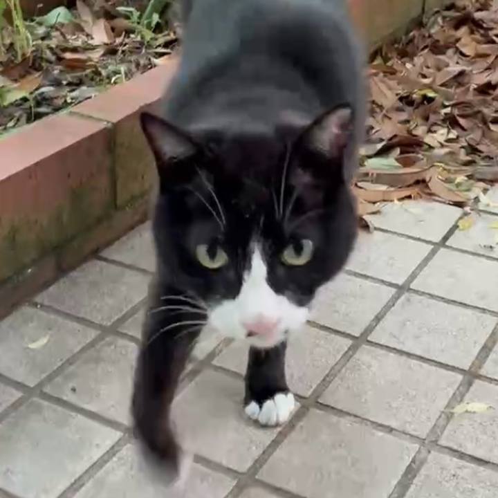 69159002 e8d7 45a9 8c05 691b5743e490 1748138072111