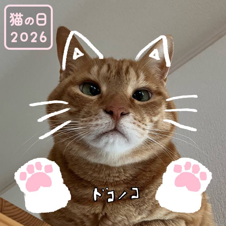 6915a51b c4d1 4a2b b4ae 05f19b596463 1771714345048