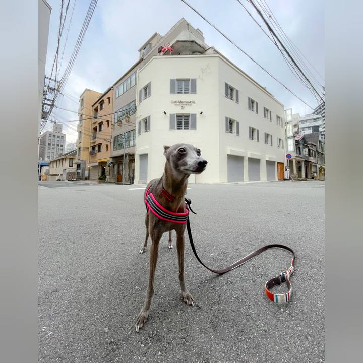 6915cdfe 570e 4416 9a04 bf7f2ef103bc 1758974952440