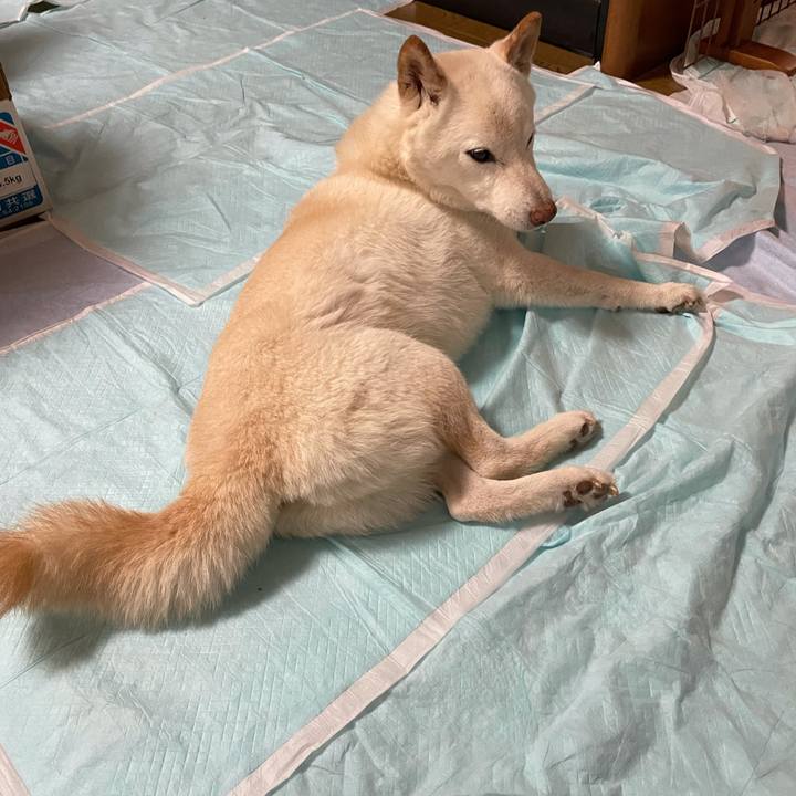 6915d4cc e24d 48fc 9948 dc552b8ba650 1639390191539