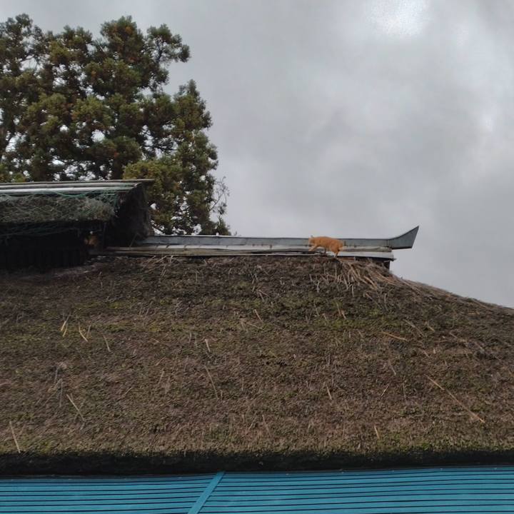 6915dbdd 9a30 45a5 881f bff859bbfdc0 1698018469729