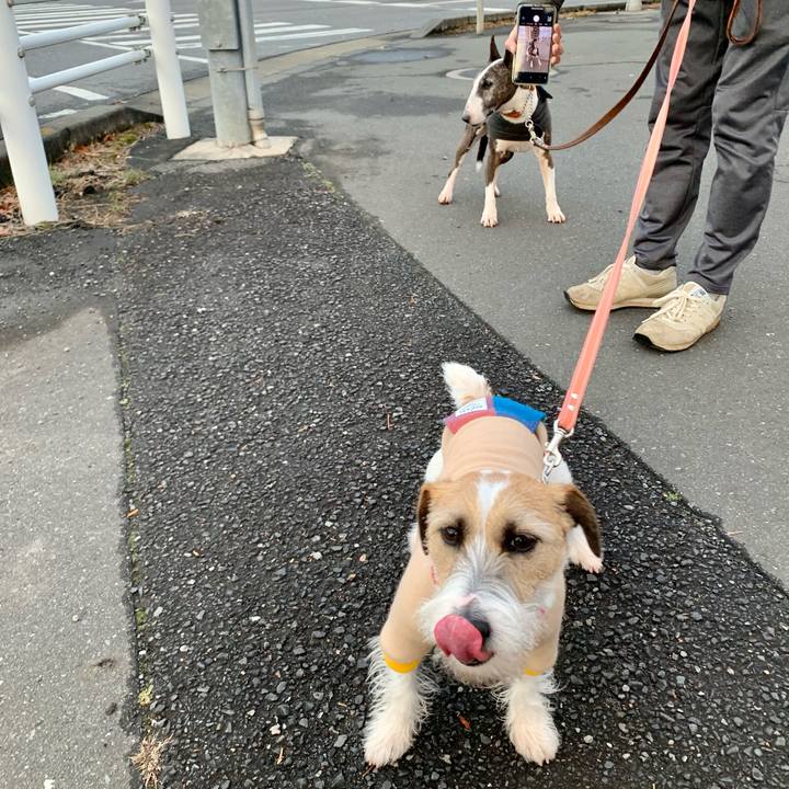 6915dd6a d094 498f bd9b 6c49fb5910fd 1609327652626