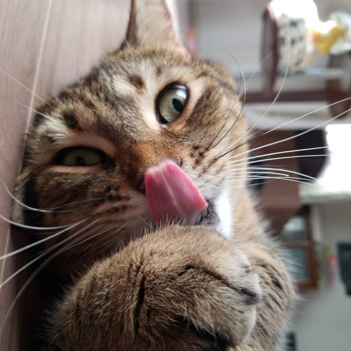 6915e5c0 e98a 4cb9 ad5a 2b8a96438412 1577751440543