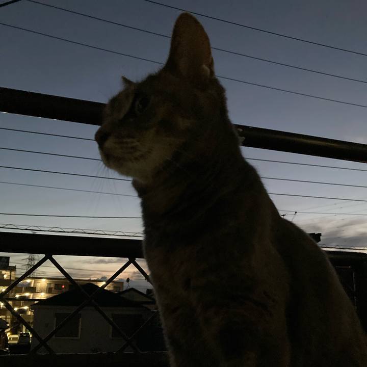 6915e96e 13d7 40ff b14f 6188448e6f5e 1723717588120