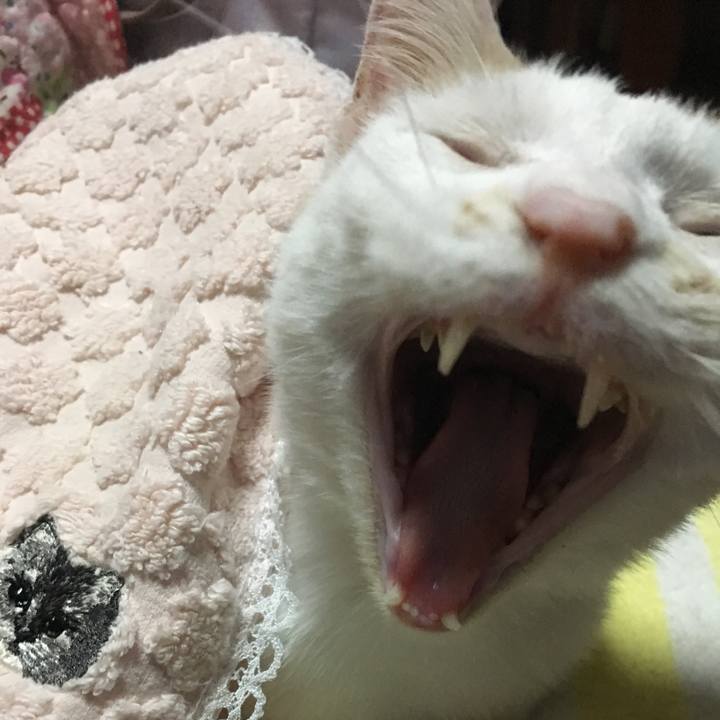 6915eb3e 99d0 46d6 a895 79d9dfb8e8aa 1532097783415