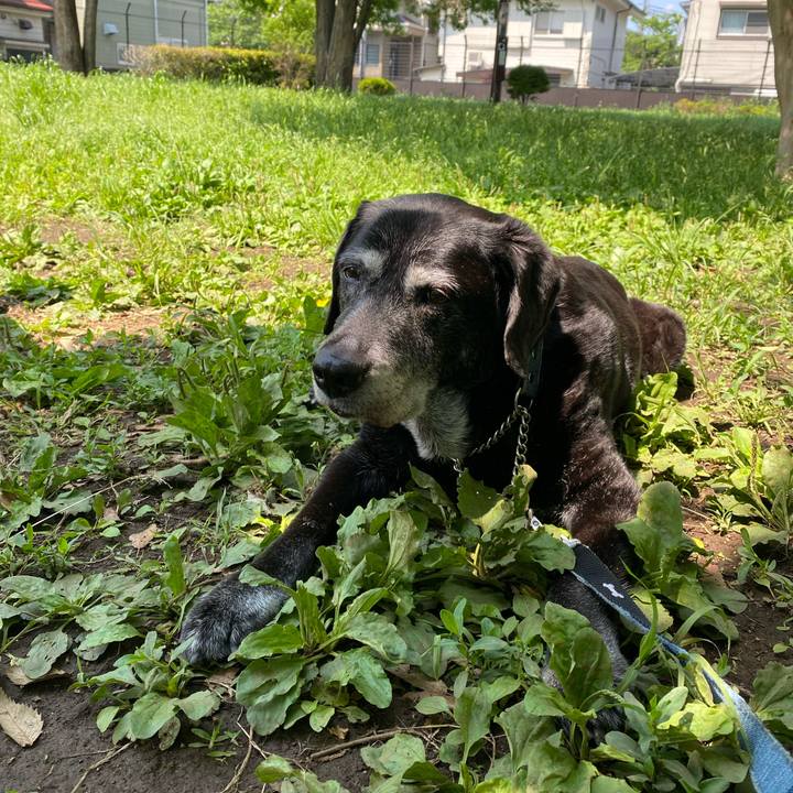 691657f6 bf78 46ef 8e0e bf19960f4b67 1747098156006