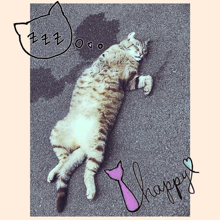 69166f21 4d6f 4549 961d c429d6fbe351 1527595839833