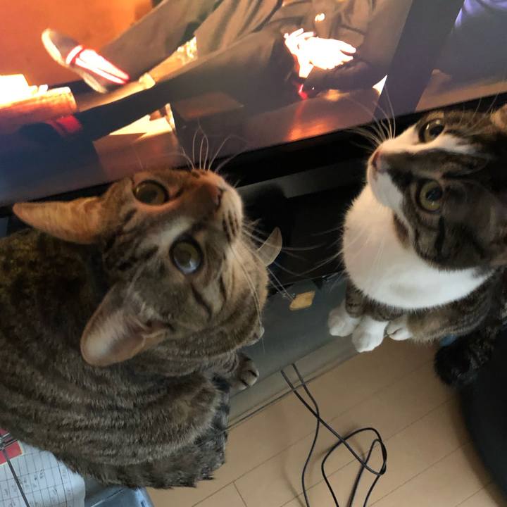 6916a61f 2030 4e3b 9d97 7e4394b95f86 1553418851053