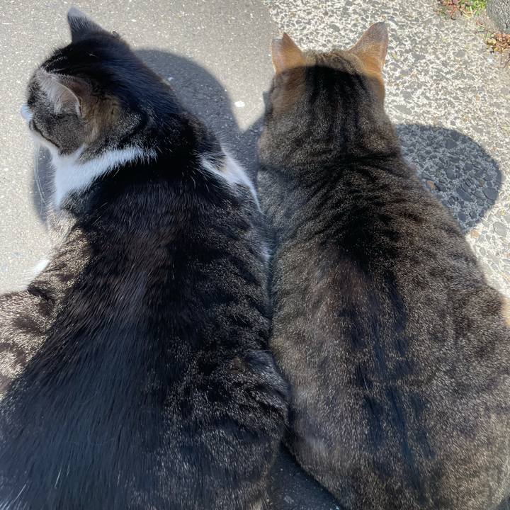 6916fa97 47cd 4796 b75b 53bf70065cd3 1614491398940