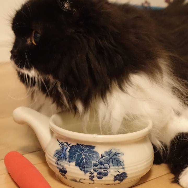 69170487 a065 494d 98b8 c9668dece2f7 1533448620176