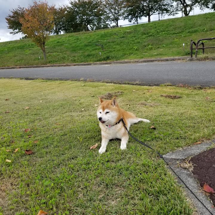 69172e78 94d2 4af1 ae21 25e30b898726 1603511525584