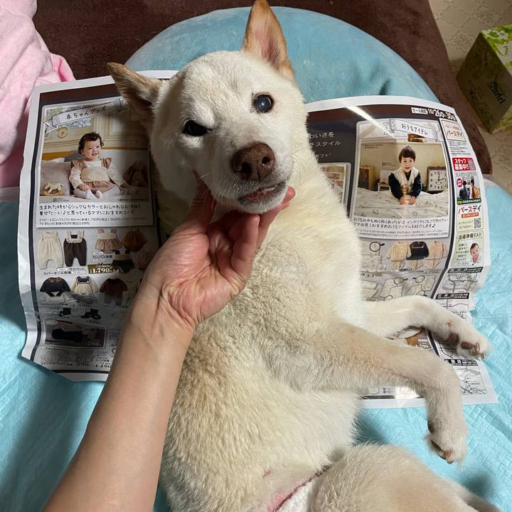 69174f6e f6d6 49a4 958a 5e3e0691d8b8 1667261476576