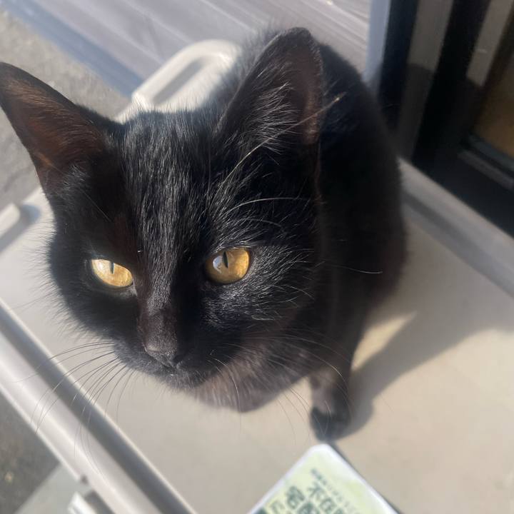 691764fe b919 43ea 97cb e5e7e53eb3f5 1768148903601