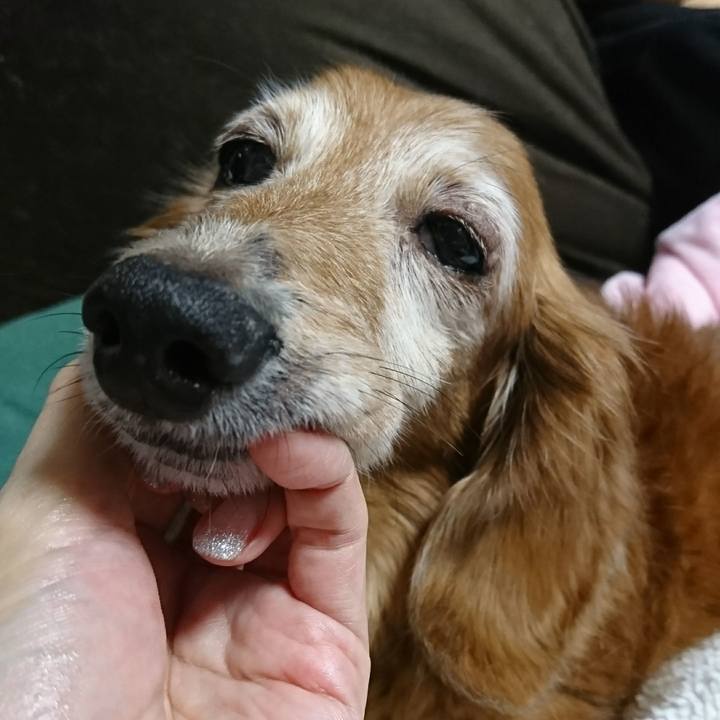 6917bf25 c1db 4144 9533 763f77b5c42b 1507950728125