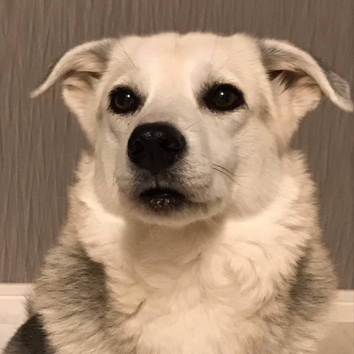 6917d68e 2959 4c38 83f4 c7c1bd6347aa 1606570696597